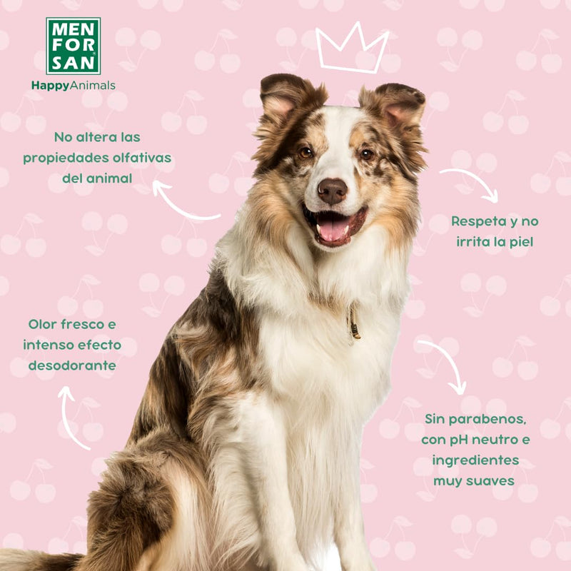 MENFORSAN Eau de Cologne for dogs | cherry | Intense and refreshing scent | Deodorizing effect | With very mild ingredients that do NOT irritate the skin | With neutral pH value | 125 ml 125 ml (pack of 1) - BeesActive Australia