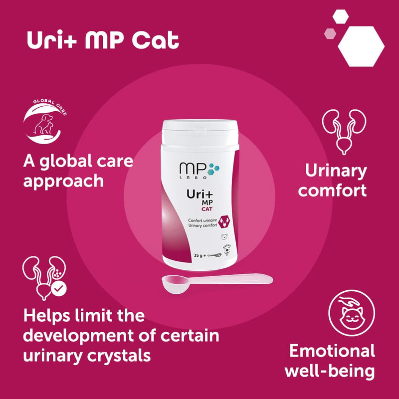 Uri+ MP Cat – Daily Urinary Support with Selected Nutrients – Bladder Supplement - Supports Nutritional Balance & Comfort – Powder with Measuring Spoon