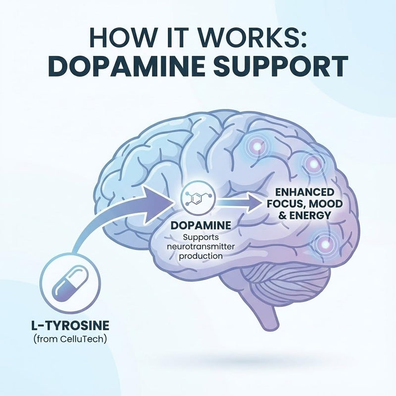 L-Tyrosine Dopamine Brain Food Supplement | Mental Energy & Focus Support with B Vitamins | Cognitive Health & Mental Drive, Vegan Capsules,120 Count