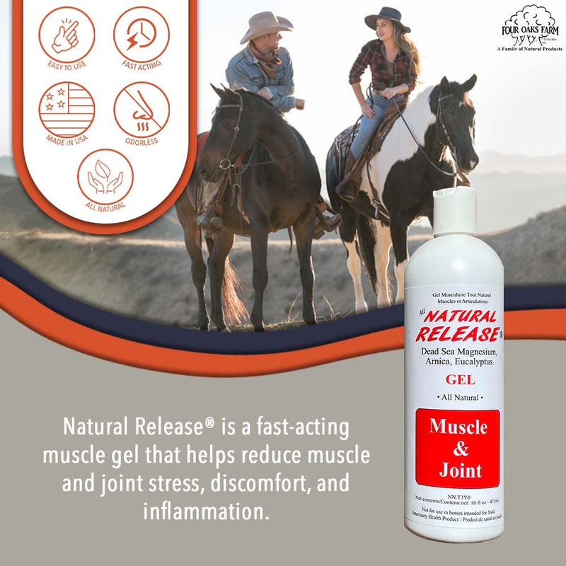 Natural Release Muscle Gel Treatment - Horse Liniment for Sore Muscles, Joint Pain, Tendon & Inflammation Relief - Easy to Use, Fast Acting, Alcohol & Menthol Free (16 oz) - BeesActive Australia