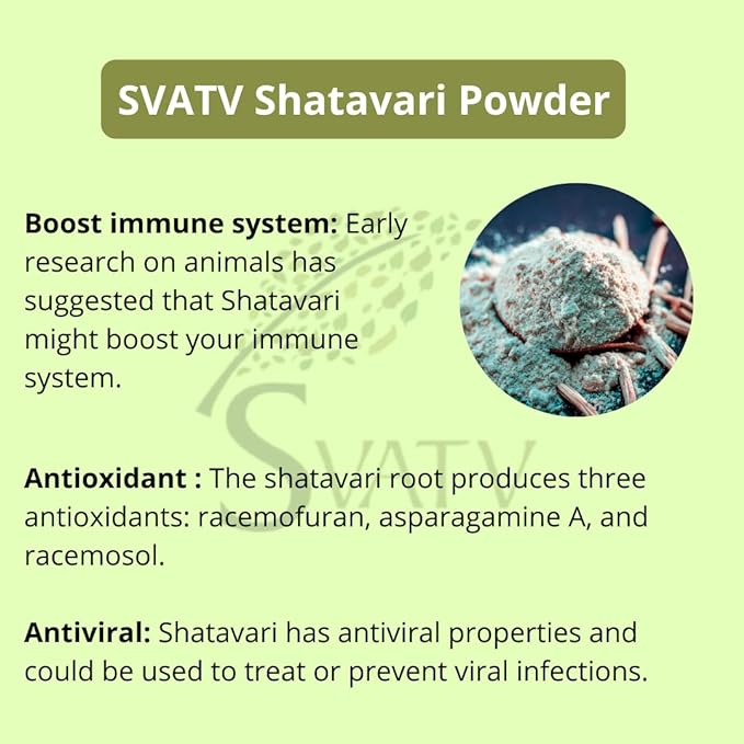 SVATV Natural Shatavari Powder (Asparagus racemosus) | 227g, 0.5 lbs, 8 ounces - BeesActive Australia