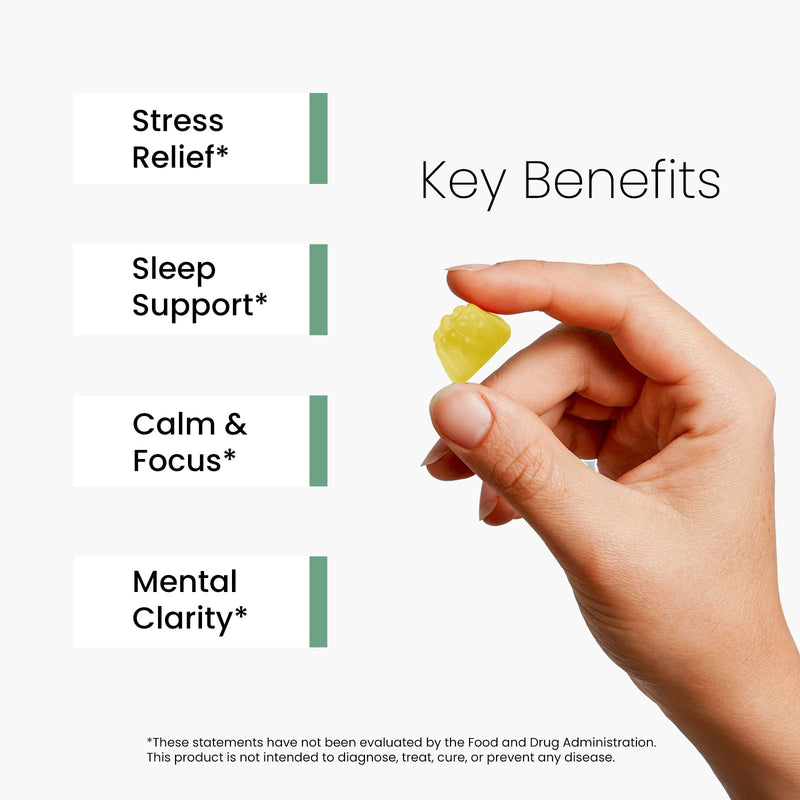 Stress Support Gummies for Kids & Adults, L-Theanine 400mg with Magnesium Glycinate, GABA & Ashwagandha, L Theanine Chewable Supplement for Relaxation, sleep, Calm & Focus, 120 Count, 60 Day Supply