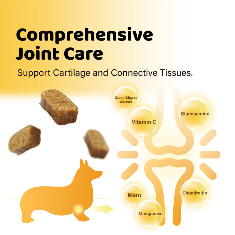 iPaw Hip and Joint Care Pro Dog Chews, Dog Joint Supplement, Glucosamine and Chondroitin Treats, Made in USA, Duck Flavor (60 Chews) Hip & Joint Care 1 Jar