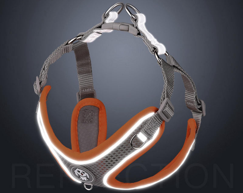 Adjustable No-Pull Dog Cat Harness Leash Set- Reflective Comfortable Control Vest Set- Soft Mesh Step-in Dog Cat Harness Leash,Orange,XXS XXS:Neck 13-15",Chest 14-17" Orange - BeesActive Australia