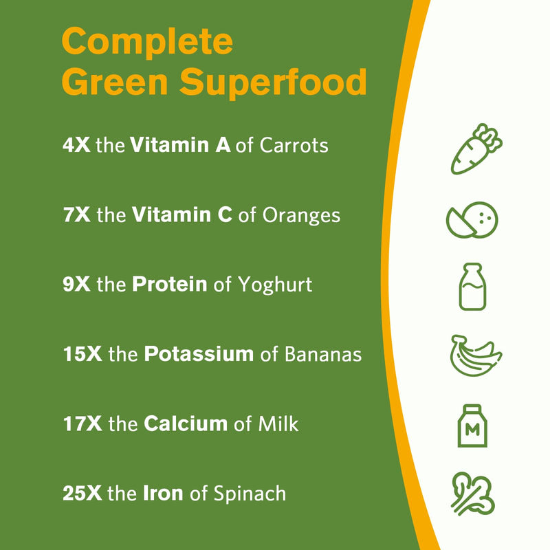 Doctor's Recipes Moringa, Complete Green Superfood, 60 Vegan Caps | Moringa Oleifera, Natural Antioxidant Support, Powerful Phytonutrients, Non-GMO, No Caffeine, No Soy, No Gluten 60 Count (Pack of 1)