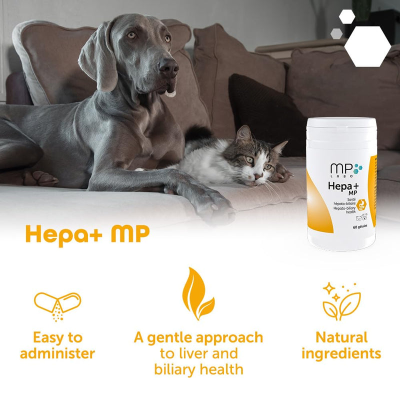 MP Labo Hepa+® MP for Dogs and Cats – 30 Sprinkle Capsules | Veterinary Grade Liver & Gall Bladder Support with SAMe Precursor Zinc-Methionine, Silymarin-Rich Milk Thistle & Fumitory