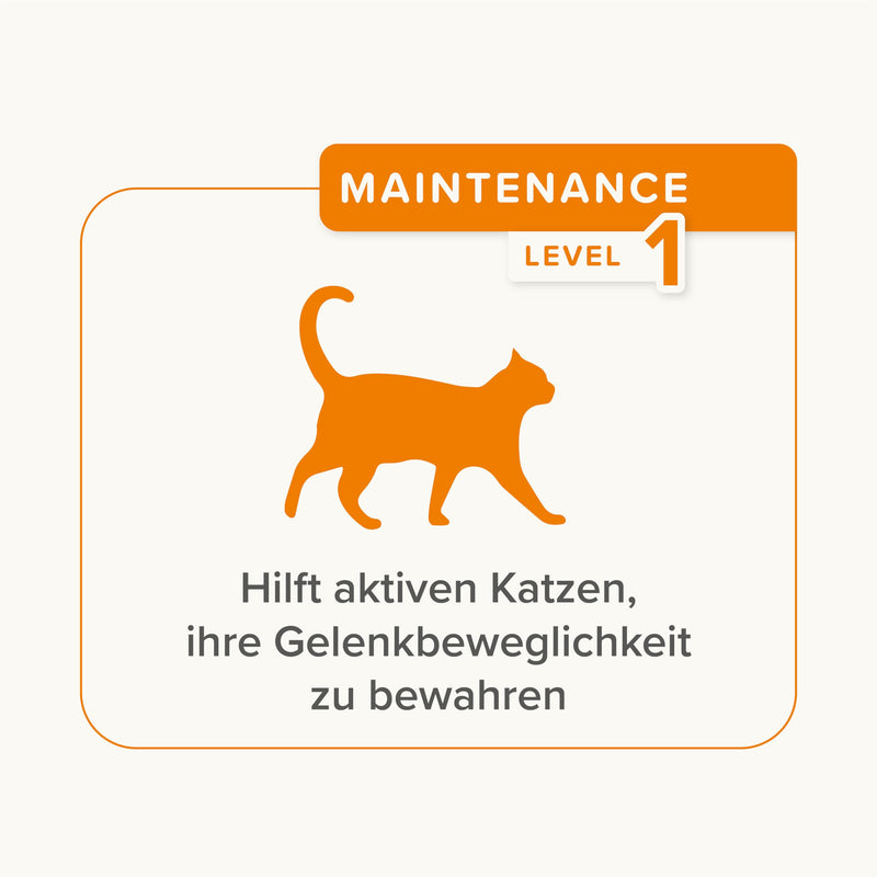 BEAPHAR - Flexifit Bits for Cats - Supports Joint Mobility and Vitality - With Taurine, Vitamin C, Glucosamine and Omega 3-150 g Cat Bits - BeesActive Australia
