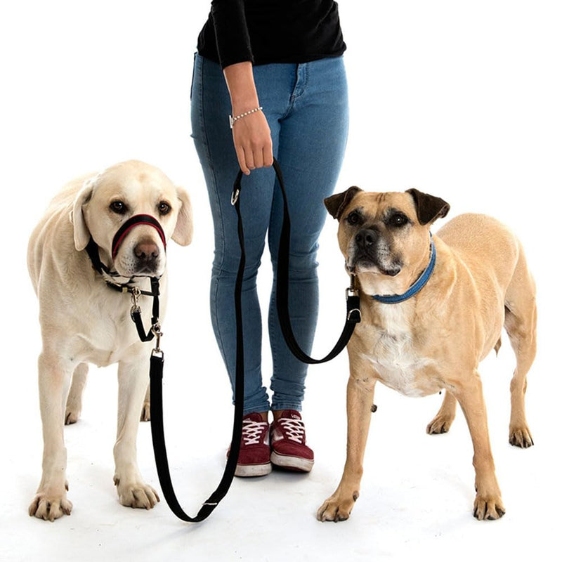 8.4FT Long Black Nylon Multifunctional Double-Ended Dog Leash Hands Free Dog Leash Adjustable Puppy Lead Rope for Medium Large Dogs - BeesActive Australia