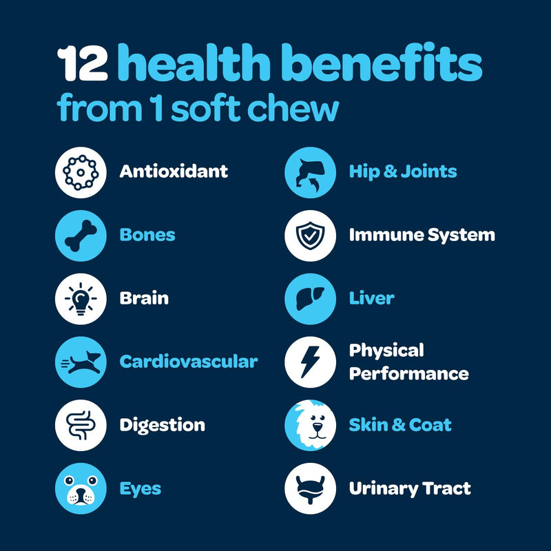 12-in-1 Complete Multivitamin for Dogs | Dog Multivitamin Chewable with Glucosamine Chondroitin & Digestive Probiotics for Dogs of All Ages and Sizes | NASC Certified & Made in The USA | 60 Chews 60 Count