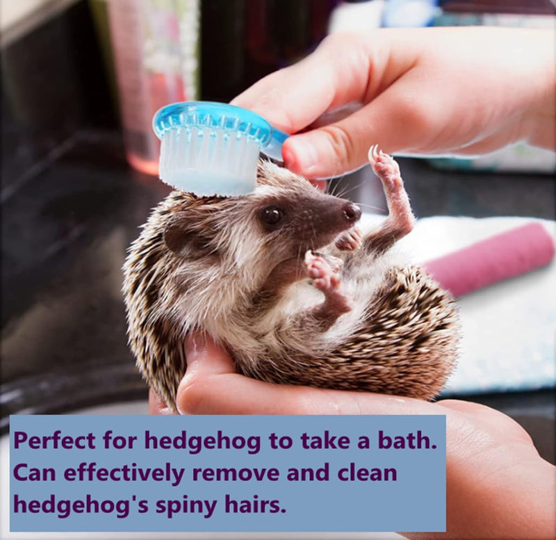 3PC Small Animal Bath Brush with Lid Soft Cleansing Brush Massage Combs for Hedgehog Guinea Pig Rabbit Chinchilla Ferret Small Animal Grooming Tool Cleaning Supplies - BeesActive Australia