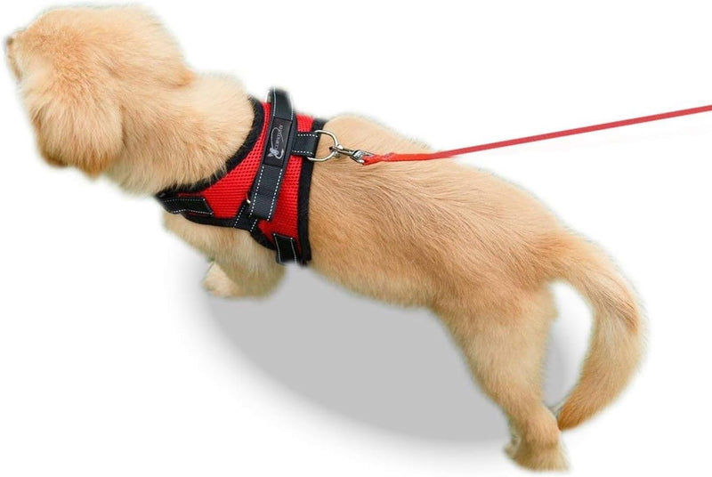 Dog Harness Small Sized Dog - All Weather Mesh overhead adjustable no pull Vest Puppy reflective Harness with handle for Small and Medium Dogs by Copatchy - Harness (Red) Small Red - BeesActive Australia
