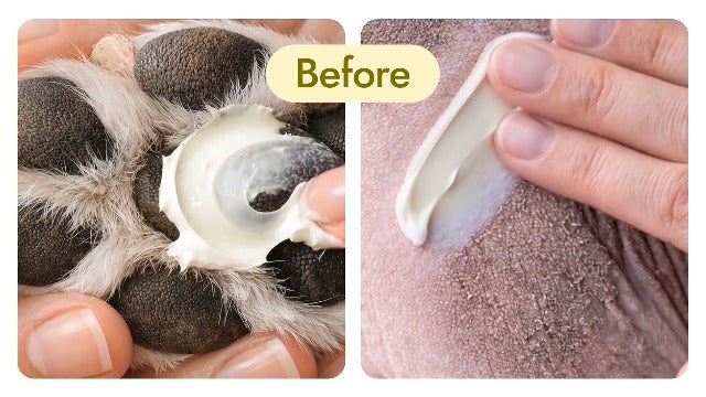 Silver + Manuka Repair Cream for Hot Spot Treatment for Dogs – Helps with Scratches, Irritations, Bites & Cuts – Cat Wound Care Ointment for Dry Skin – Suits for All Pet Breeds, Ages & Sizes – 2 oz Silver + Manuka Repair Cream 2 Fl Oz x 1