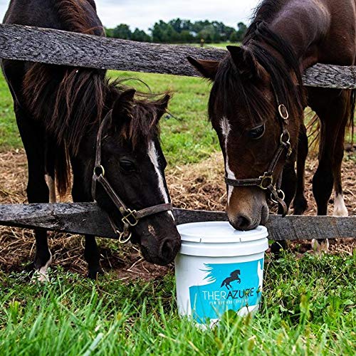 *New Heat Resistant Formula* Horse Hoof Thrush Treatment Clay and White Line Equine Care: Effective on Horses, Cows, Goats, Sheep, Pigs and All Hooved Animals-7lb Bucket 25 oz - BeesActive Australia