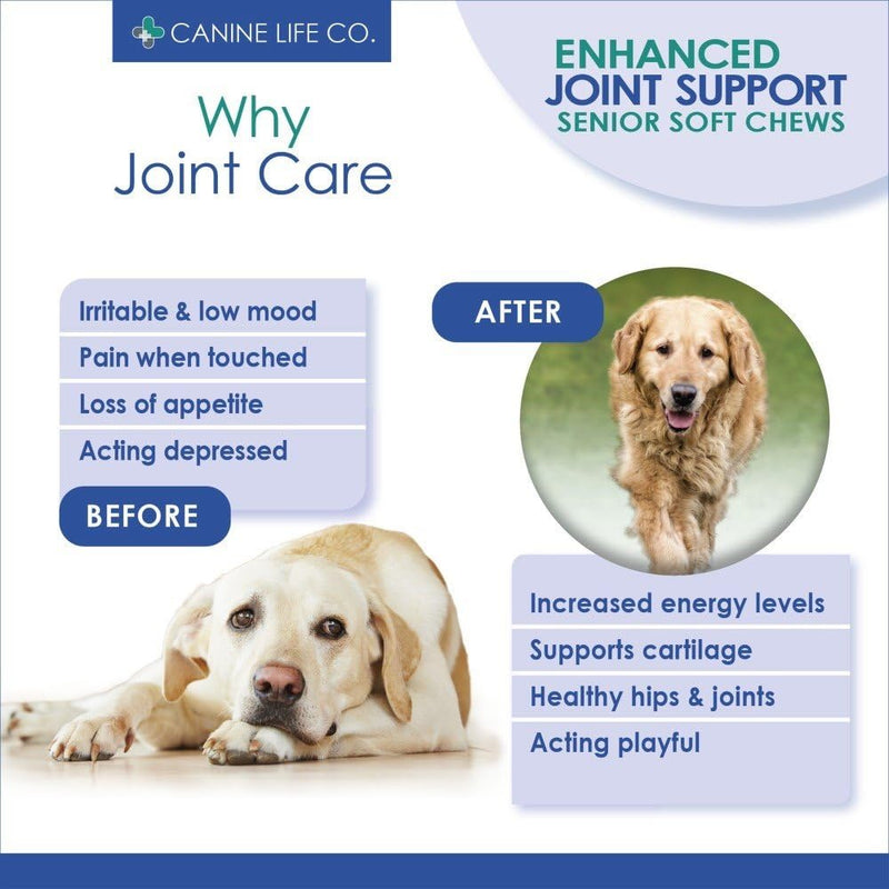 Canine Life Co. Senior Dog Joint Supplement – 10 Active Ingredients with Glucosamine, Green Lipped Mussel & Turmeric – High Strength Soft Chews for Dogs Aged 8+ – 120 Chicken-Flavoured Treats