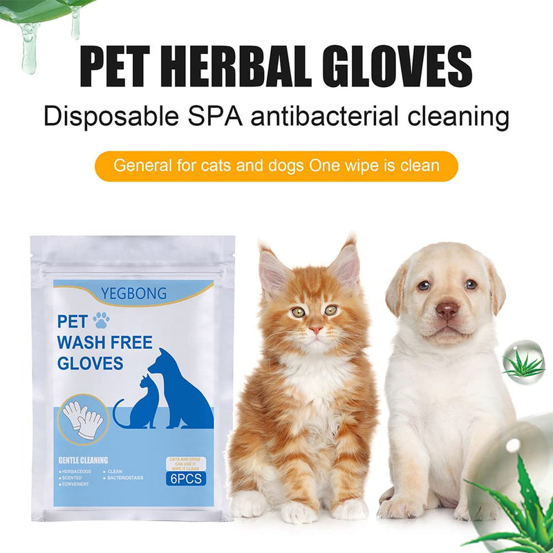 MOVKZACV 6 Pcs Antiseptic Wipes in the Shape of a Grooming Glove for Cats and Dogs, Bathing Glove for Pets, Pet Grooming Wipes (White) White - BeesActive Australia