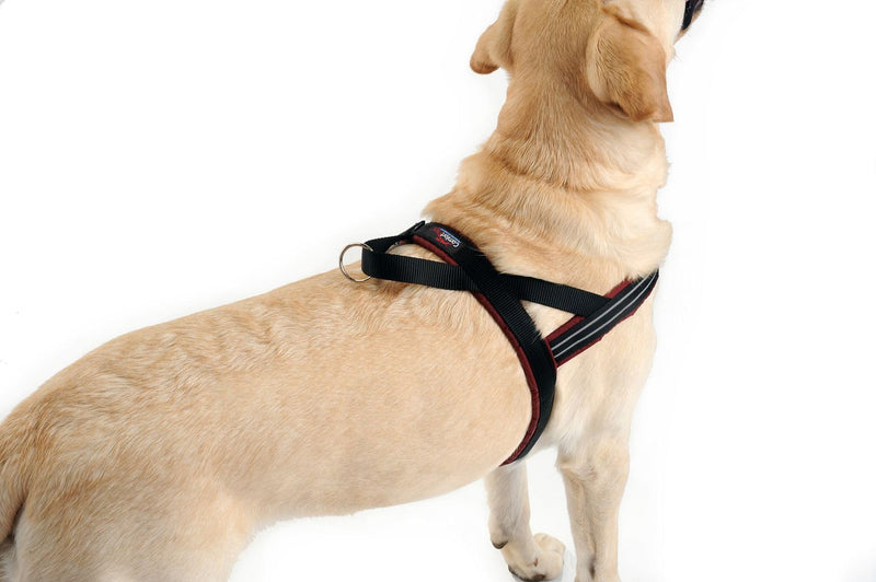 ComfortFlex Sport Harness - American Made No Pull Dog Harness for Large Dogs - Lightweight, Padded, Reflective No Rub Harness for Walking, Running and Control - Large, Purple - BeesActive Australia