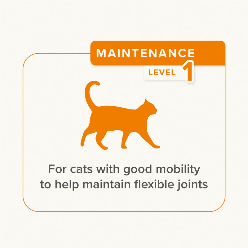 Beaphar – Flexifit® Joint Care Bits for Cats, 35g – Delicious Daily Joint Supplement – Helps Maintain Flexible Joints – Contains Glucosamine, Omega 3 & Vitamin C ~ 70 Treats