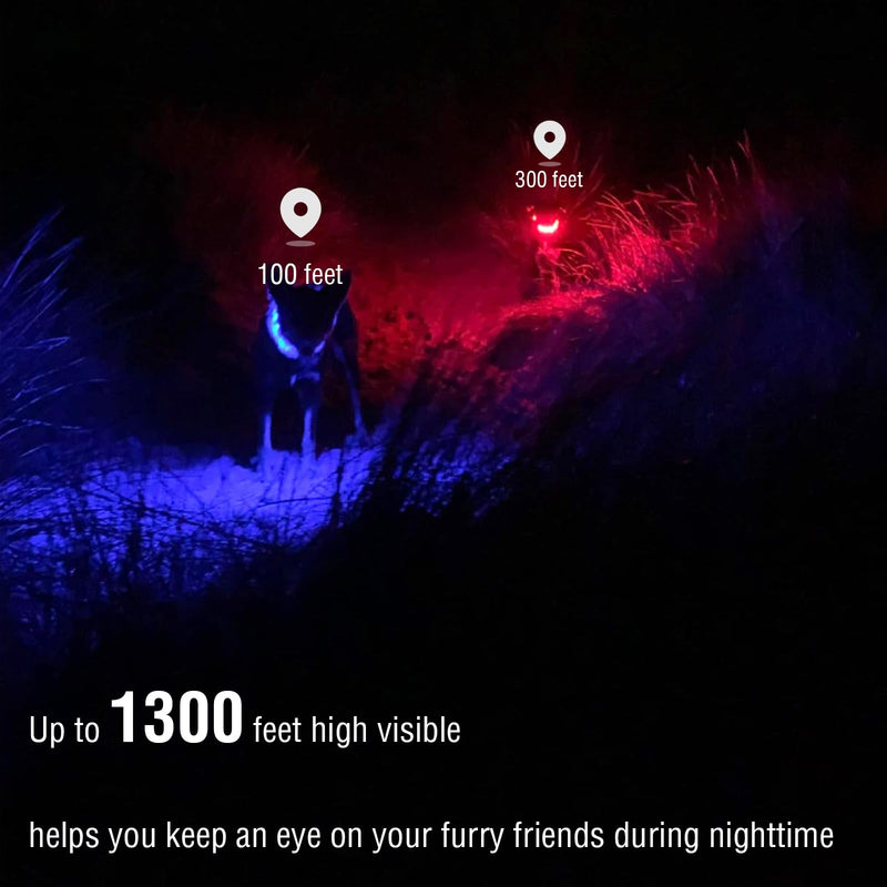 Dog Light Up Collar,Multicolor LED Dog Collar Rechargeable USB C,Rainproof Lighted Dog Glow Collar for Night Walking Cuttable for Large Medium Small Dogs Pet - BeesActive Australia