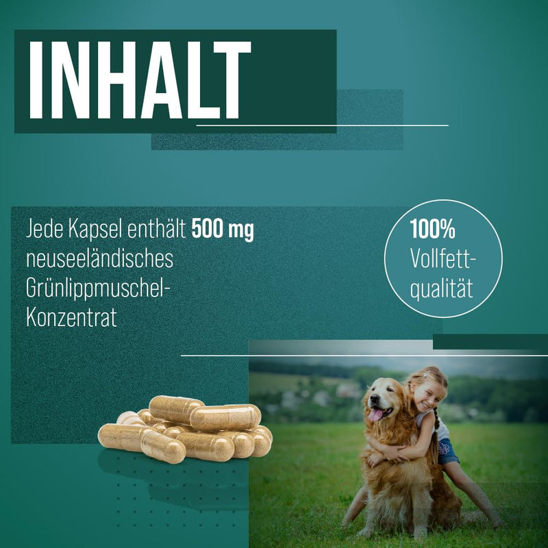 Sanct Bernhard green-lipped mussel dog capsules