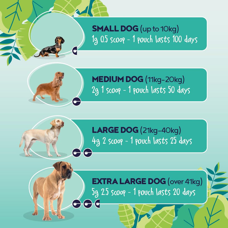 Plaque-K9 | Dental Care Supplement for Dogs | Removes Plaque, Bad Breath & Tartar | Support Oral Hygiene | Natural Ingredients & Superfoods | Mix with Dog or Puppy Food | Absolute Dogs 1 pouch