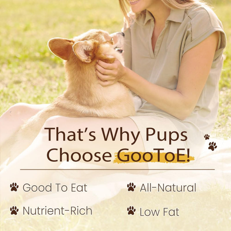 Gootoe Dog Treats, All Natural, Low Fat, Premium Training Chews, Healthy & Easily Digestible, Treat and Train, Chicken Breast Wrapped Salmon Sticks, 6oz 6 Ounce (Pack of 1)