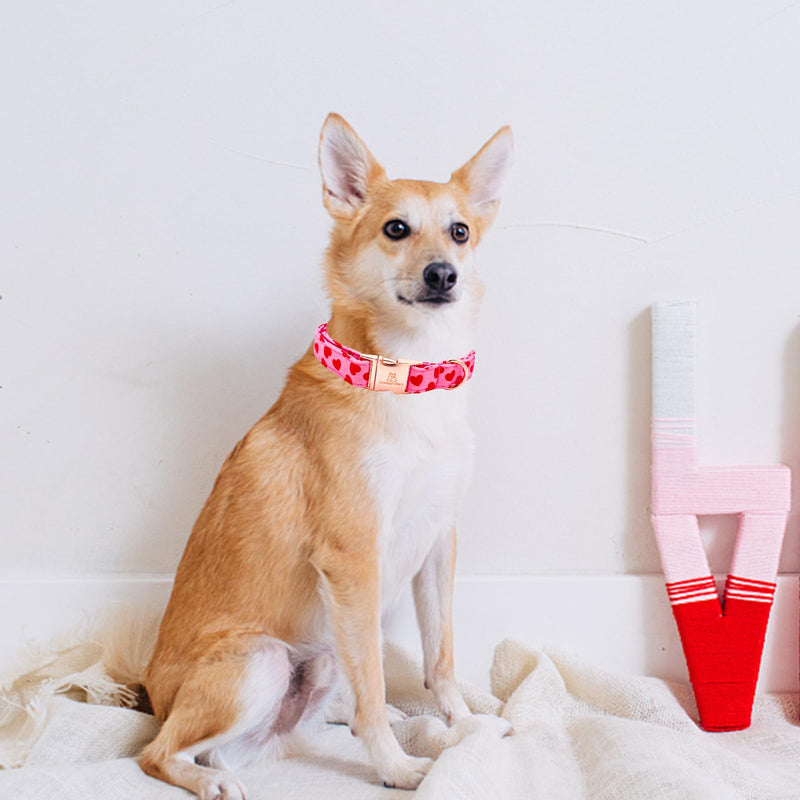 Lionheart glory Valentine's Day Collar, Red Hearts Dog Collars for Medium Cute Dog Collars Spring Female Pet Gift Adjustable Heavy-Duty Dog Collar Holiday Medium (Pack of 1） - BeesActive Australia