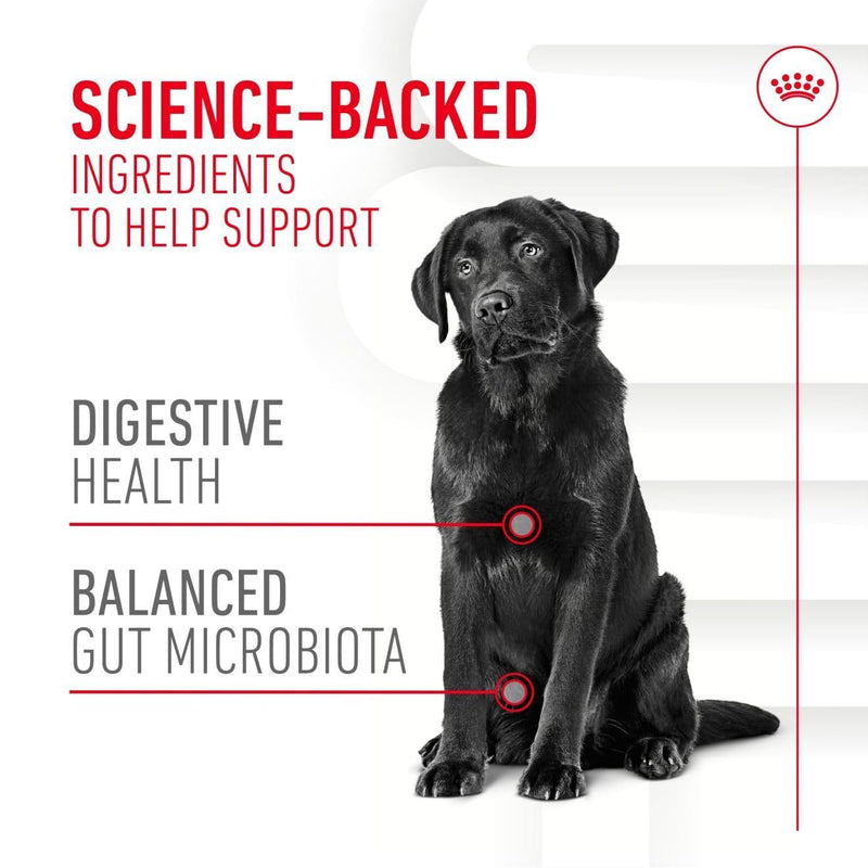 Royal Canin Dog Supplement for Digestion Soft Chews 160g