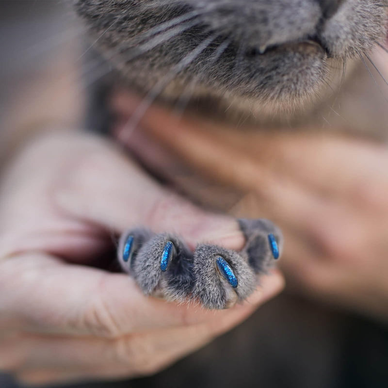 Cat Nail Caps with Glue - 20pcs Pet Kitten Cat Claw Caps Cat Claw Covers for Small Medium Large Cats - Crystal Blue M - BeesActive Australia