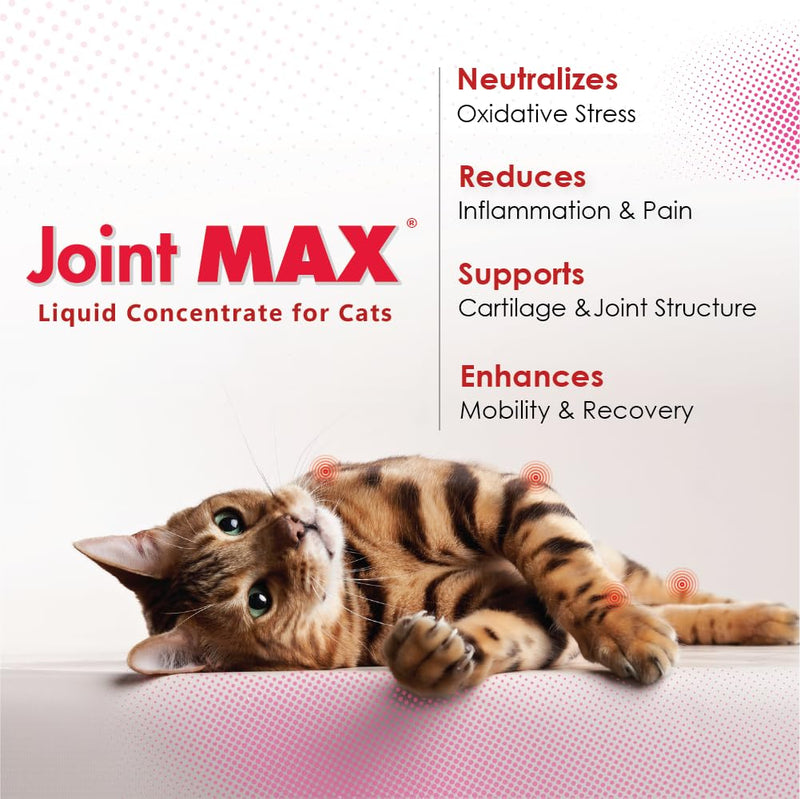 Liquid for Cats – Joint & Mobility Support Supplement with Glucosamine, MSM, Chondroitin, Omega-3 – Helps Ease Stiffness & Discomfort – 2 fl oz – Made in USA – NASC Certified