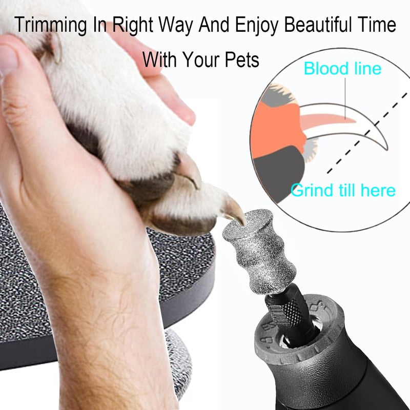 Diamond Rotary Nail Grinder Bits for Dog - Pet Nail Grinder Attachment - 1/8" Replacement Grinder Wheel for Dremel - Pet Nail File & Clippers for Medium Large Dogs (XL) X-Large - BeesActive Australia