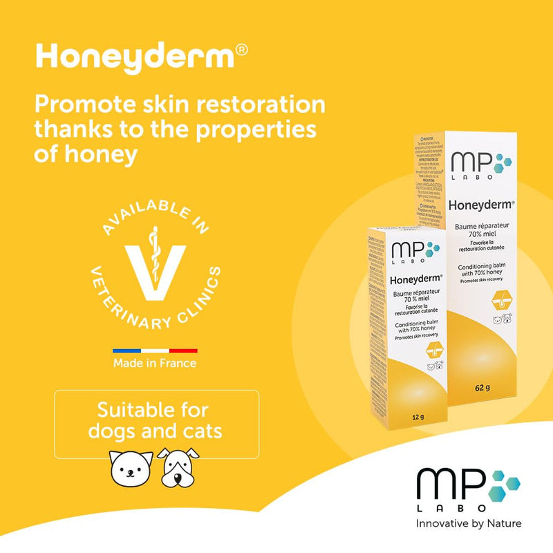 Honeyderm Balm for Cats & Dogs – Soothing Honey Balm for Dry or Irritated Skin, Minor Wounds & Cracks – Safe, Fragrance-Free, 62g Tube