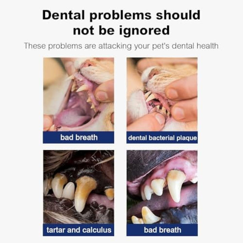 Seven777 Pet Dental Powder,Teeth Cleaning Powder for Dogs and Cats, Plaque & Bad Breath Off,Dental Care Supplies for Small, Medium, Large Dogs and Cats 3.5 Ounce (Pack of 1)