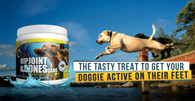 DR DOG Joint Supplement - 90 Cold Pressed Soft Chew Dogs Joint Supplements - Hip & Joint Care for Dogs – Bacon Flavoured Dog Joint Care Chews – Chondroitin - Glucosamine for Dogs –Vet Grade-Made in UK