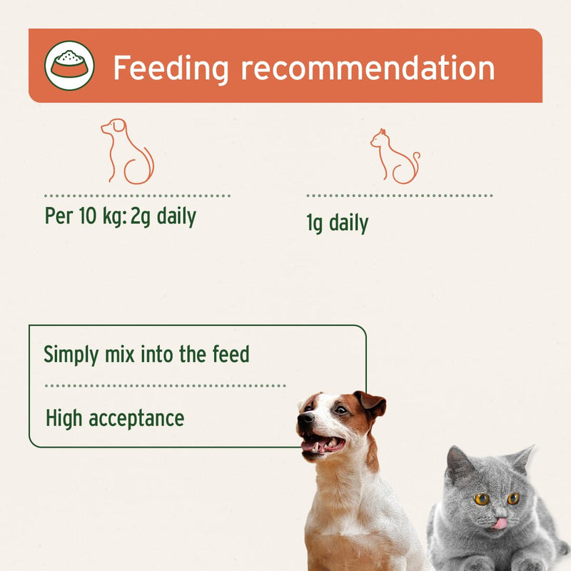 AniForte Rosehip Powder for Dogs and Cats 250g - 100% Finely Grounded Rose Hips, Rich in Natural Vitamin C, Supports & Maintains Immune System & Joint Health