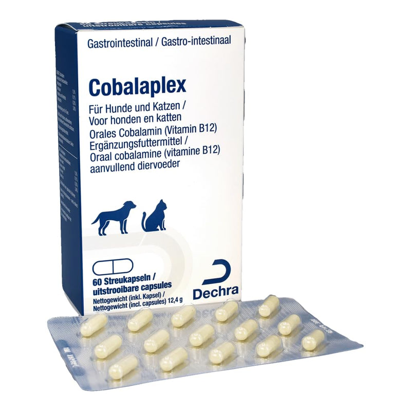 Dechra Cobalaplex | 60 capsules | Supplementary food for dogs and cats | Can support digestion and promote vitamin B12 levels | With prebiotic Preplex - BeesActive Australia