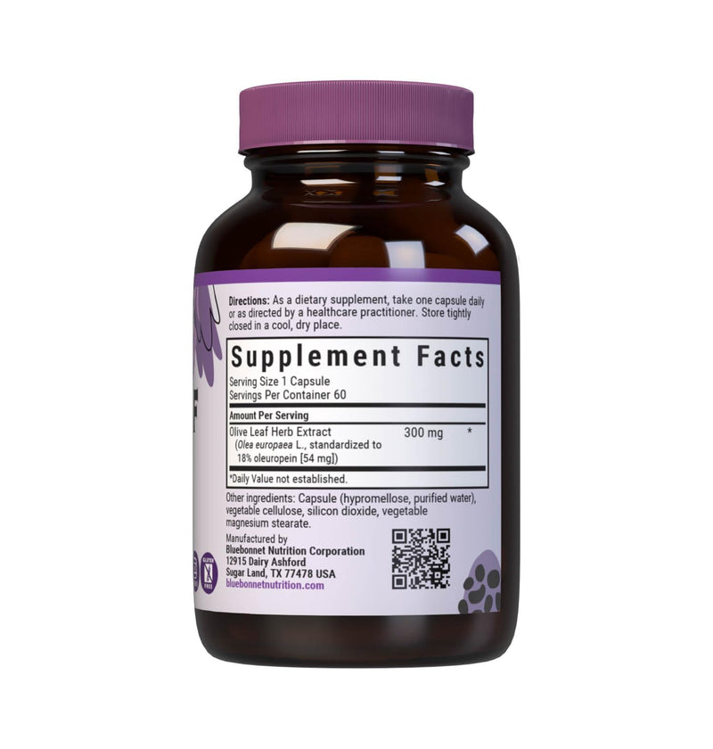 Bluebonnet Nutrition Standardized Olive Leaf Herb Extract, 60 Count 60 Count (Pack of 1)