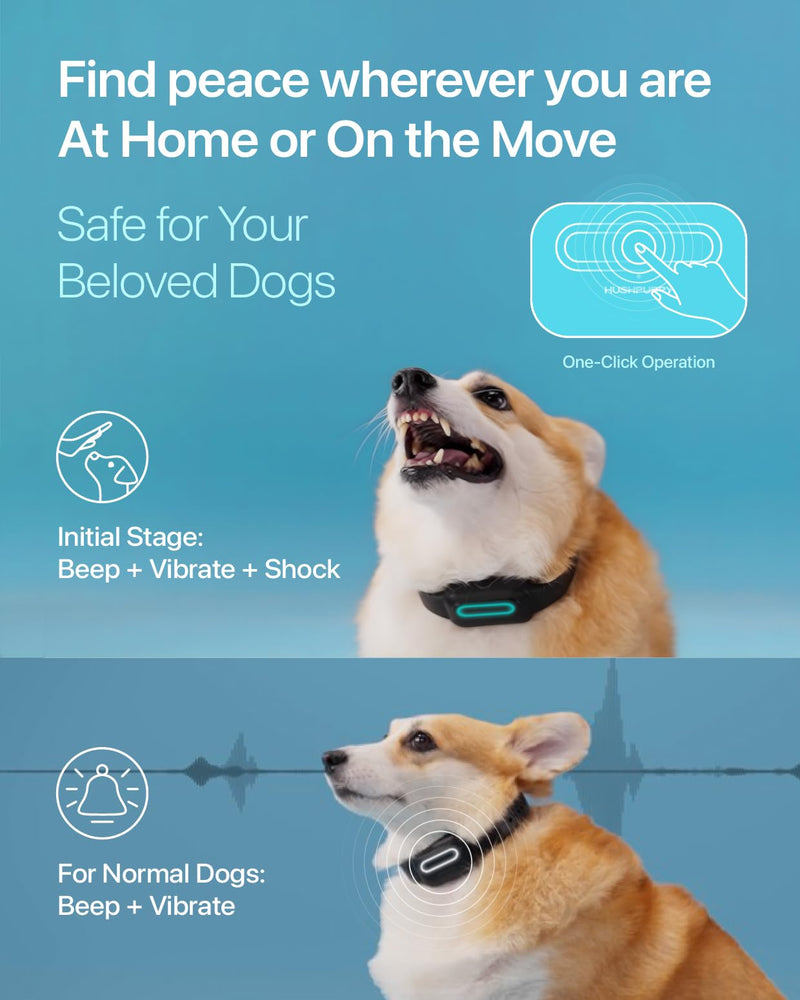 Dog Bark Collar Shock Vibration Beep: High Sensitive Barking Control Collar with Replaceable Battery for Small Medium Large Dogs (Small) - BeesActive Australia