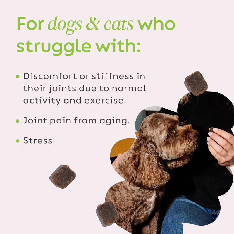 Super Snouts Hemp & Joint Chew for Dogs & Cats, 30 Chews (Up to 60 servings) – Hip + Joint Supplement with Green Lipped Mussels + Hemp – Helps with Mobility and Joint Comfort