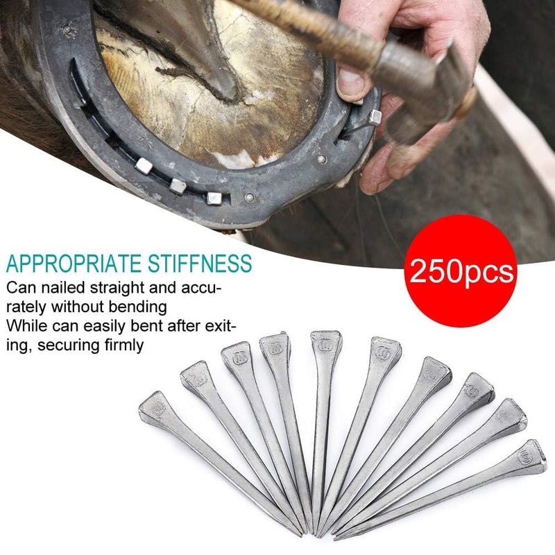 250PCS Horseshoe Nail Steel 2.13 Inches E6, Horse Shoe Nails Horseshoe Tools Stainless Steel Horseshoe Horse Hoof Peg Securing Nails Tools for Horse Training Equestrian Sports - BeesActive Australia