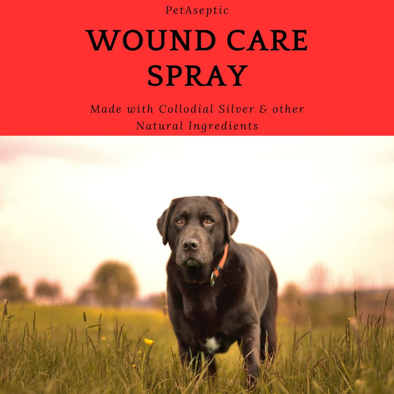 Wound Care Spray | Promotes Healing to Minor Cuts, Scrapes, Burns, and Other Skin Issues | Clear, Stainless, & Greaseless | 4oz Spray Bottle - BeesActive Australia