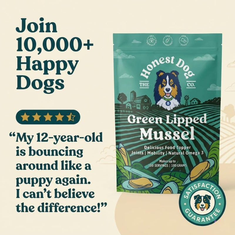 Green Lipped Mussel for Dogs | 100% Pure New Zealand Green Lipped Mussel Powder | Joint Support Omega 3, Glucosamine & Chondroitin | Additive Free, Freeze Dried | 100g | by Honest Dog Co. 100 Grams