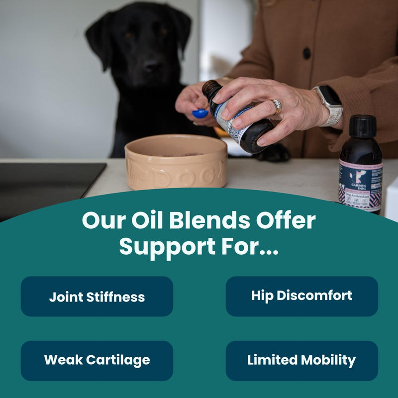 Joint & Mobility Supplement for Dogs 250ml | Specially Formulated Dog Hip and Joint Supplement | With Green-Lipped Mussel and Salmon Oil for Dogs