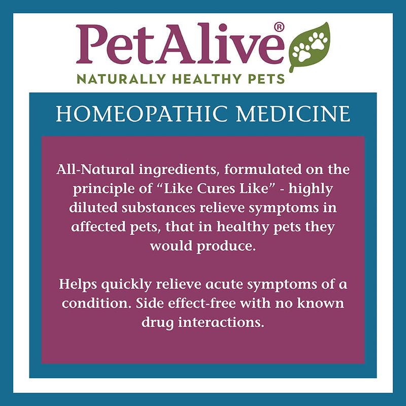 Pet Alive® Calm ComboPack for Pets - PawsPlanet Australia