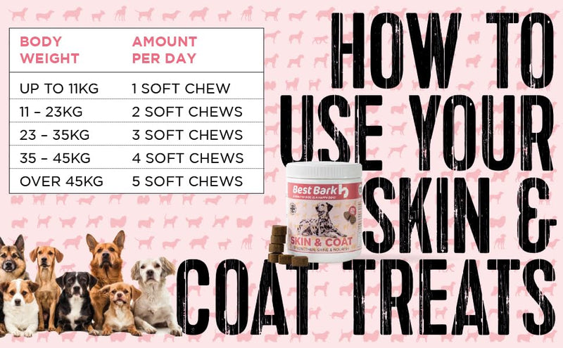 Omega 3 Skin & Coat Dog Supplements – 120 Soft Chews with EPA & DHA, Collagen, Biotin & Zinc – Helps Itchy Skin, Shedding & Dry Coat – Natural Beef Flavour