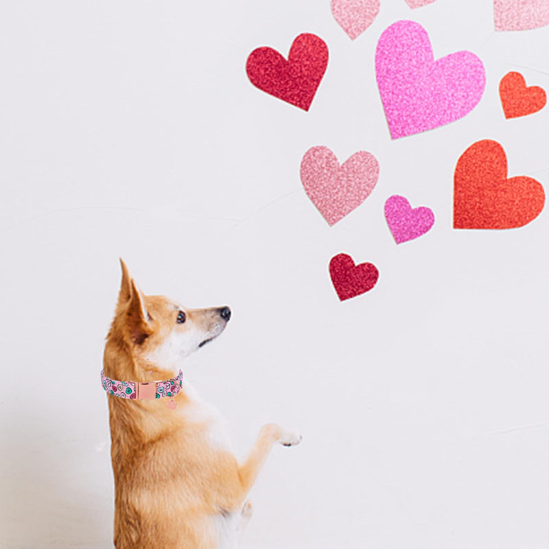 Valentine's Day Dog Collar, Heart Dog Collar for Small Medium Large Girl Boy Dogs or Cats, Wedding Dog Collar Match Dog Leash, Pet Collar with Metal Buckle, S, Neck 10-16in Colorfulhearts CC - BeesActive Australia