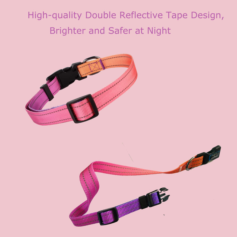 Roses&Poetry Reflective Dog Collar with Gradient Mistyrose, Adjustable Durable Pet Collars for Small Medium Large Dogs (Mistyrose-M) - BeesActive Australia