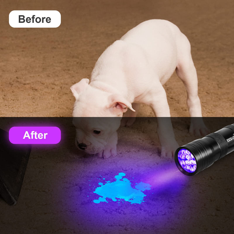 Escolite Black Light Flashlight, 12LED 395nm UV Handheld Black Light Mini, Dogs Urine Detector for Dry Urine Stains, Bed Bugs, Scorpions(2 Packs) - BeesActive Australia