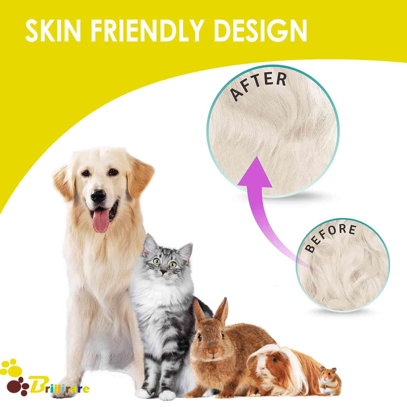 4 Pack Dog Grooming Comb, Pet Flea Lice Combs, Stainless Steel Pet Combs with Rounded Teeth, Professional Metal Cat Tear Stain Remover, Dematting Tool for Small, Medium & Large Pets - BeesActive Australia