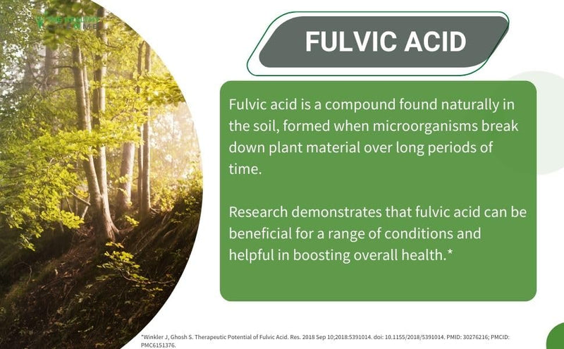Liquid Fulvic Acid + Humic + Trace Minerals | Hydration | Keto Supplement | Energy | pH Balance | Hair | 2-Month Supply | Liquid Color - Brown - BeesActive Australia