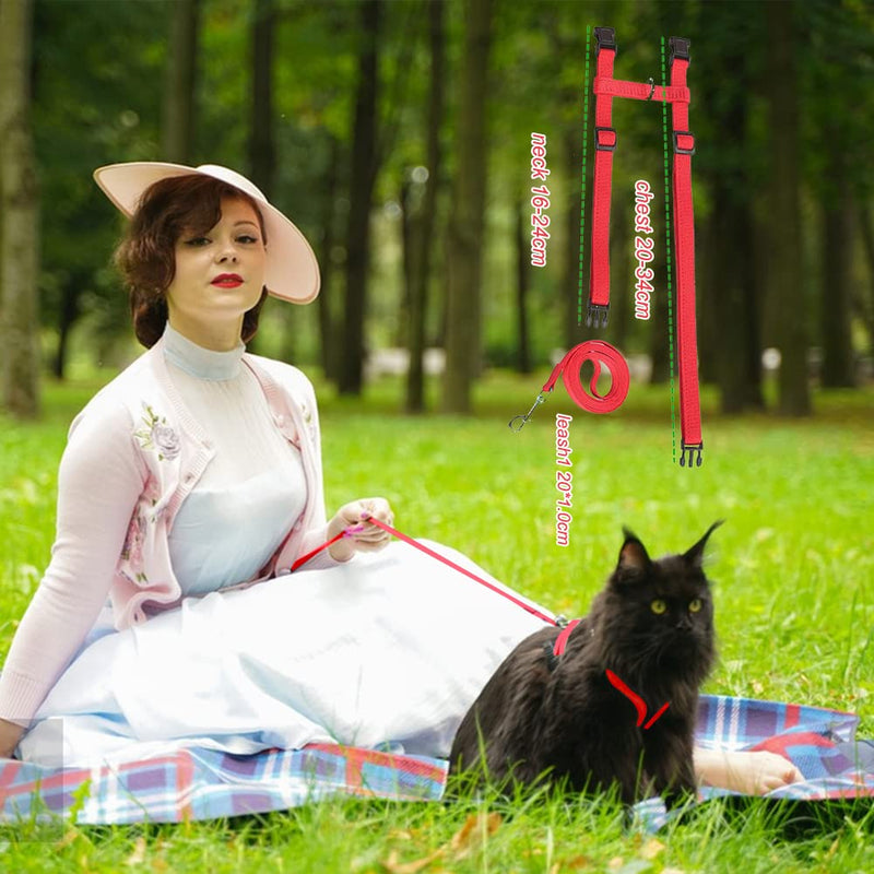 Cat harness with leash escape-proof, cat harness, adjustable cat leash with harness for cats, nylon cat leash, cat harness kitten for small cats and dogs - BeesActive Australia